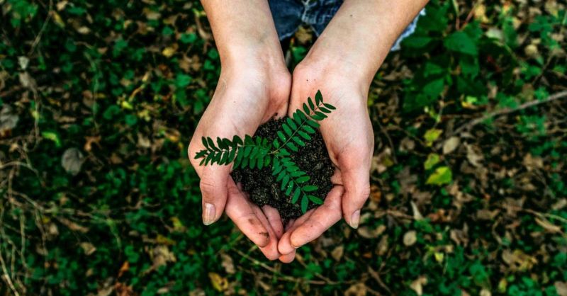Employee Green Behaviour: cosa spinge davvero i dipendenti ad agire in modo sostenibile